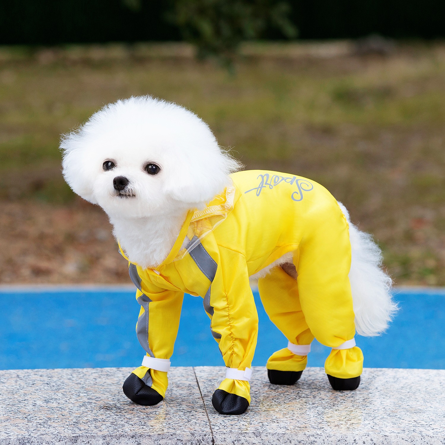 노란색