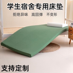 Sponge Coconut Palm Two Types of Mattresses High Density Hardened Military Green Soft and Hard Mattress Student Dormitory Mattress Foldable