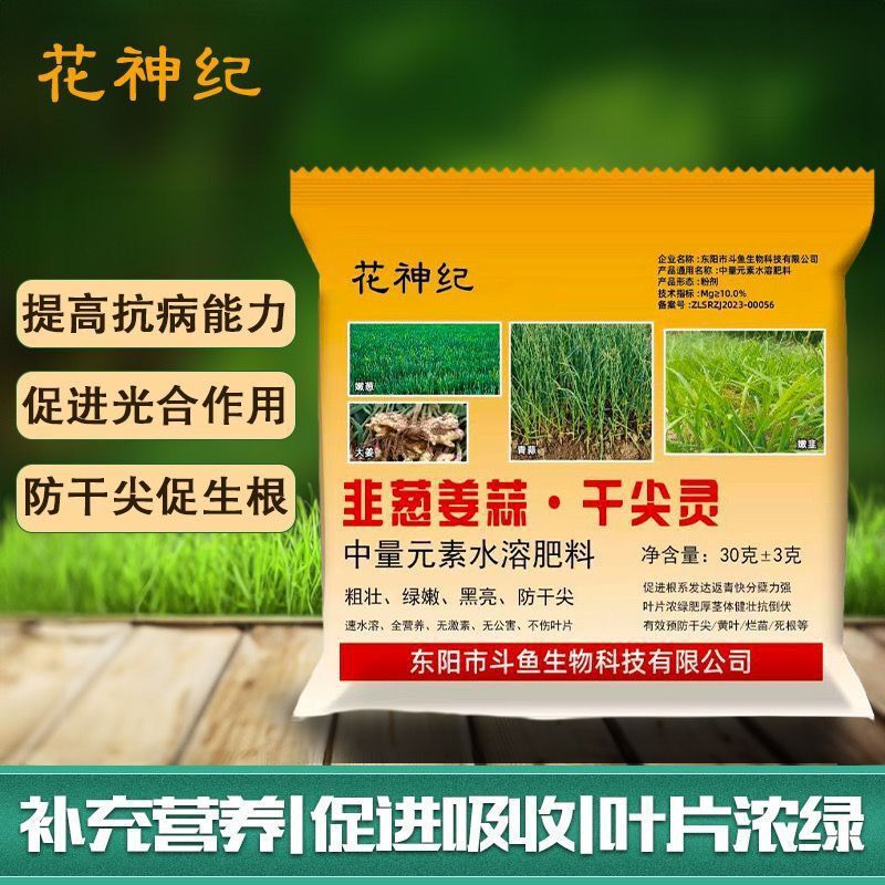 韭葱姜蒜干尖灵大蒜姜大葱韭菜干尖专用肥农用尖绿叶增长叶面肥料|undefined