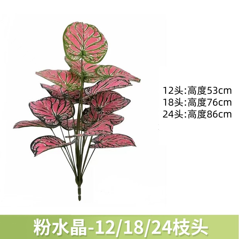 粉水晶 / 12叶高约63cm【不带黑盆】
