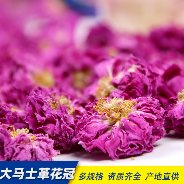 バラのバラの花の花の冠王の低温は乾燥します。|undefined
