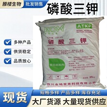 ������⛬F؛�������ճ�Y���{ζ���黯����|�������_���������