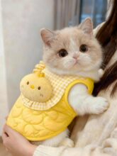 ؈���·��ɐۿ�ͨС�u�R�ױ�ů��żӢ�̽�u�ӹ�������q�·���ë