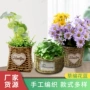 手提多肉田园柳编花盆