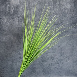 �����JȔ�ݱ��W�Ҿӻ�Y�b��þGֲ���[������Ѳ��辰�[�����l