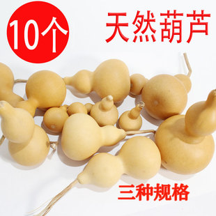 ��Ȼ���J�������탺ͯ����DIY�L���T�f�ز�����J����[��