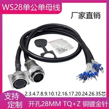 WS28���ղ��^���B��������ĸ�^�B�Ӿ�2P-20�26P35о���^����