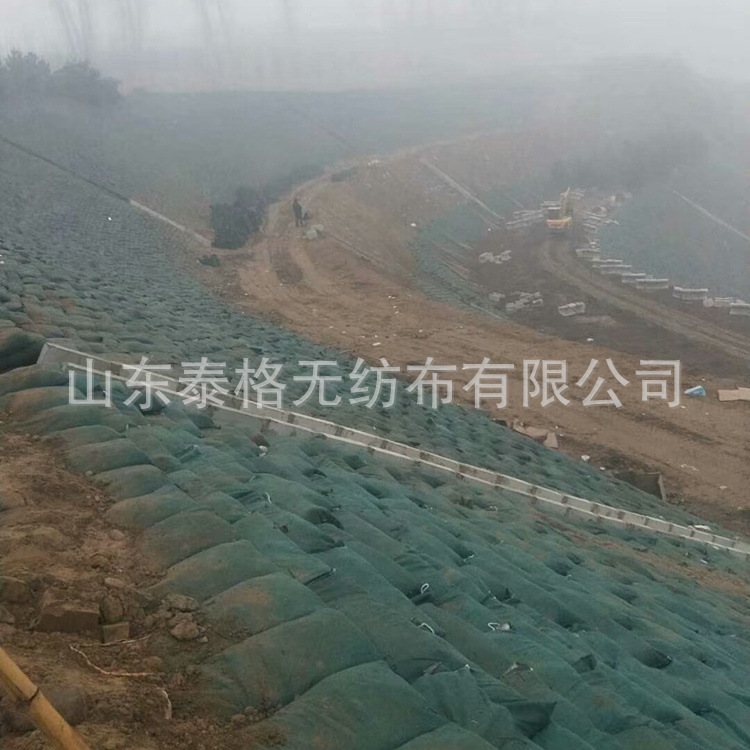 涤纶护坡生态袋 黑色绿色 厂家 土工布草籽袋