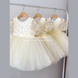 蝴蝶泡泡袖女童连衣裙网纱公主裙子Girl's Tulle Princess Dress