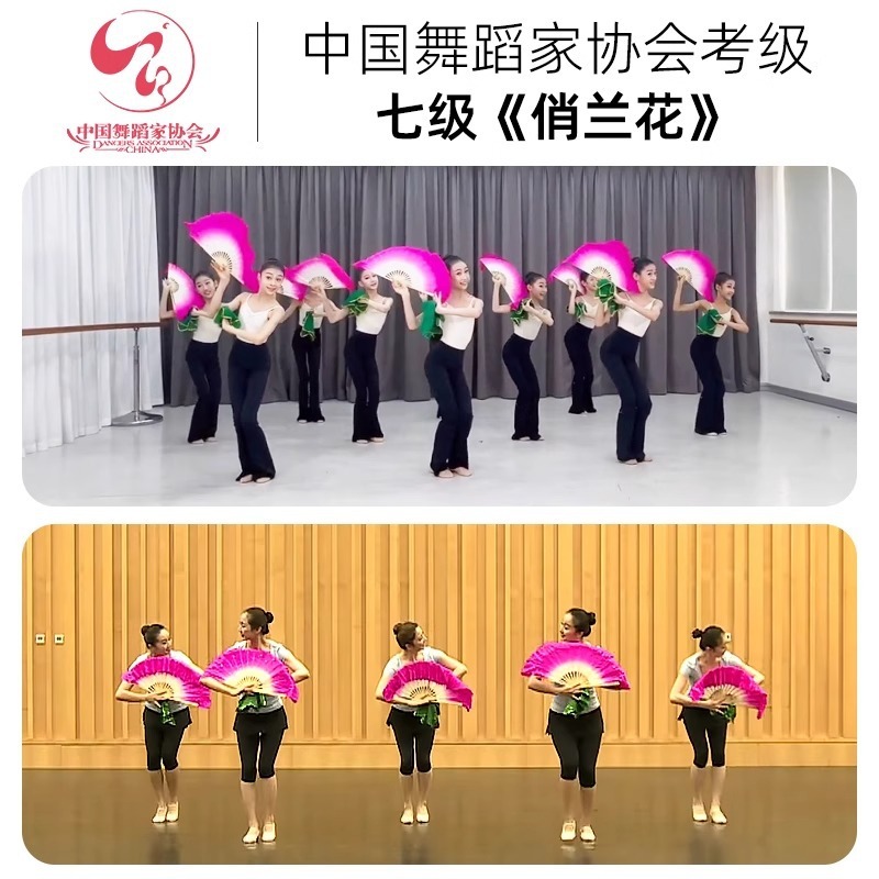 玄碩中国舞踊協会グレード7 プリティオーキッド シルクダンスファン ティーマウンテン 歌と鼓と光とダンスの韻の小道具|undefined