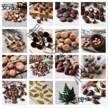 ɻlƬɻLɹɻС»޹DIY