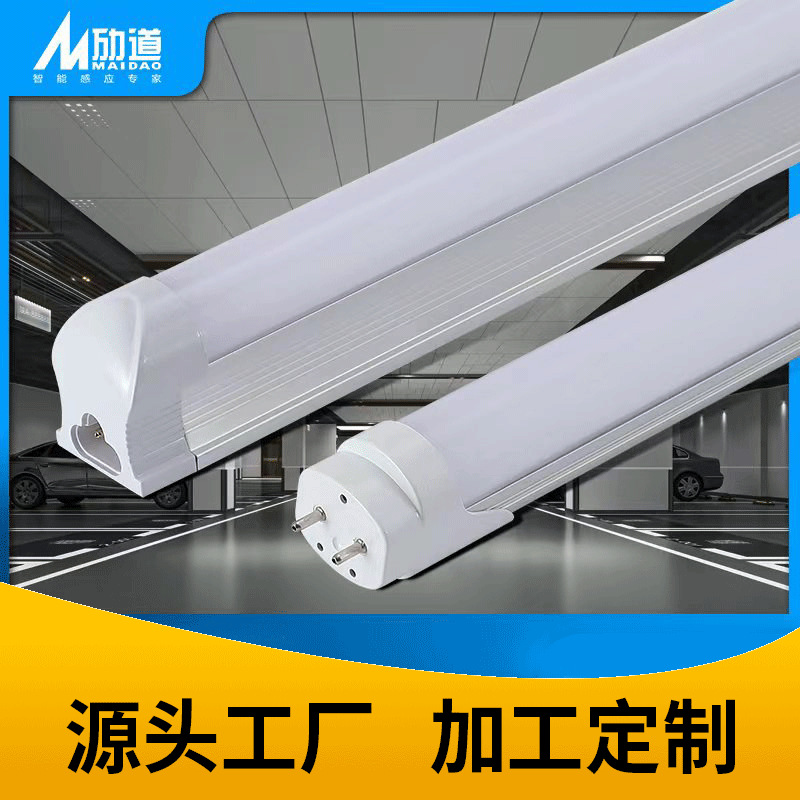 Linear light