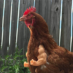 Cross-Border Amazon Spoof Battle Chicken Arm Prank Chicken Arm Toy Spoof Halloween Pet Pendant Accessories