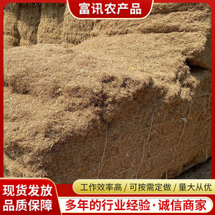 ���l�G�������w�S �B�χ��������o�²��ϵ����w�S ��z�����w�S