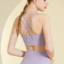 JG913�˶����½���ϸ���������������˶������˶������ļ�