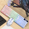 力镁 GTX300 key mouse set new USB keyboard USB mouse Internet cafe light -emitting game kit colorful backlight