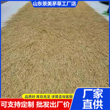 富锦旅游景区仿真茅草屋顶塑料茅草人造茅草民宿木屋庭院地毯茅草
