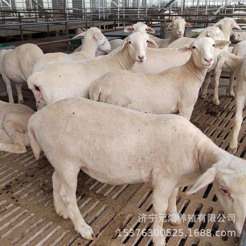 498470CB163EB3FF157712EFBF1742