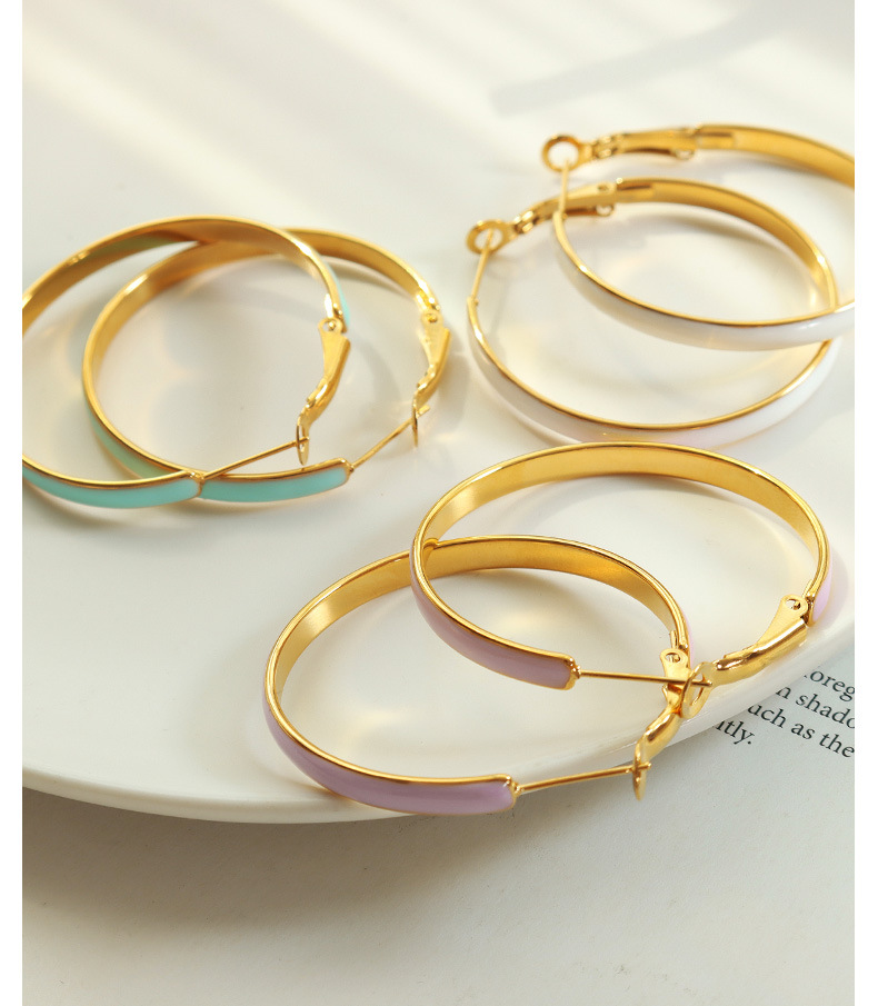 Fashion Circle Titanium Steel Enamel Hoop Earrings 1 Pair