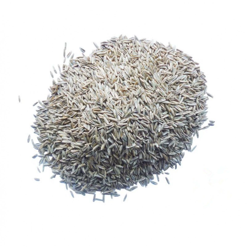 Многолетние широколиственные выносливые кормовые виды крупного рогатого скота и овцеводства зимние пастбища 70 семена райграса зимние четыре сезона