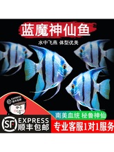 �{ħ�����~���~���^�p�~�߲����ɟᎧ�������~С�͵�ˮ���B�����~