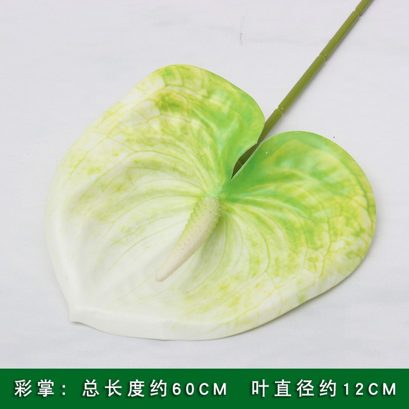 녹색 팜/1 가지