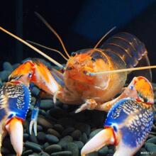 ���r���t��  1�r����^�p�r���wˮ�����С���r��ˮ�{ħ��M