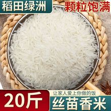 20斤丝苗米南方晚稻装2023当季丝苗10斤长粒香米新米大米农家粘米