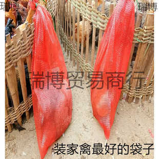 Large wholesale net bag wholesale chicken garlic onion corn woven bag pumpkin mesh bag potato net bag live