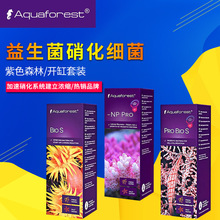 ���mAF��ɫɭ��Aquaforestt-��������/������/���������L��
