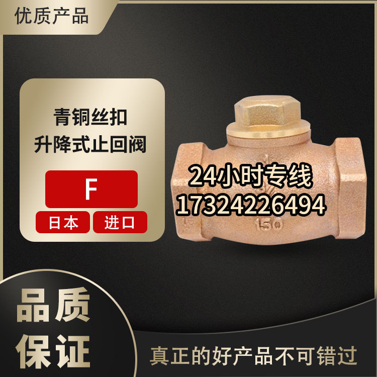 日本丝牙青铜单向阀F蒸汽升降式止回阀150北泽KITZ水流逆止阀DN20