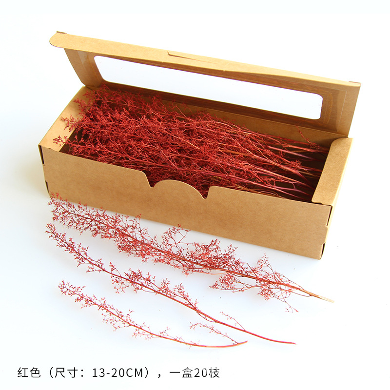 Cao cấp 12-20cm chi ngắn [hộp màu đỏ 20 chiếc]