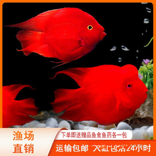 �t�W�^�~���~�Ꭷ�^�p�~��ˮ�~�Lˮ�~Ԫ���~Ѫ�t�~�lؔ�~