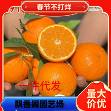 һ�����l091�o���ָ����ϱ������ԏV�����Q�ش����ӹ������Լ޽�