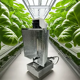 植物生长灯;金卤灯;镇流器