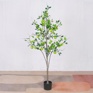 ���Q�¿����GֲС��ۼ٘���b��ʯ��â���٘������҃��b[��