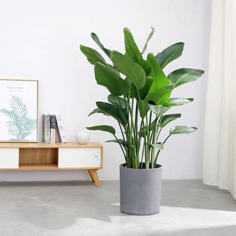 둥근 시멘트 분지