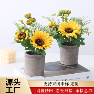 �羳����ֲ�����ԁ��R�d�����bٻ�С�辰�¿��������տ�����