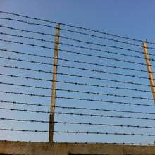 Keܴ̾IF@WF޼̽zȦFzWI