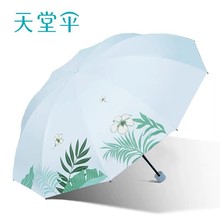 ƷÂ33963EĺҰg⾀Сºz̫ꖂ