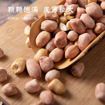 Spiced Peanuts Milk Garlic peanut leisure time snacks Snacks Healthy snack wholesale