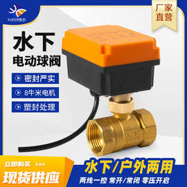 水下防水电动球阀220v24v12v二通丝扣管道控制阀门微型电动阀水阀