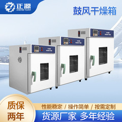 電熱恒温送風乾燥箱小型実験室オーブン乾燥箱高温送風オーブンスポット供給