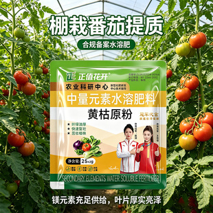 �S��Դ���r�����͚������~��ʿ�ή����̿�Ҹ������ͺ�΢�������