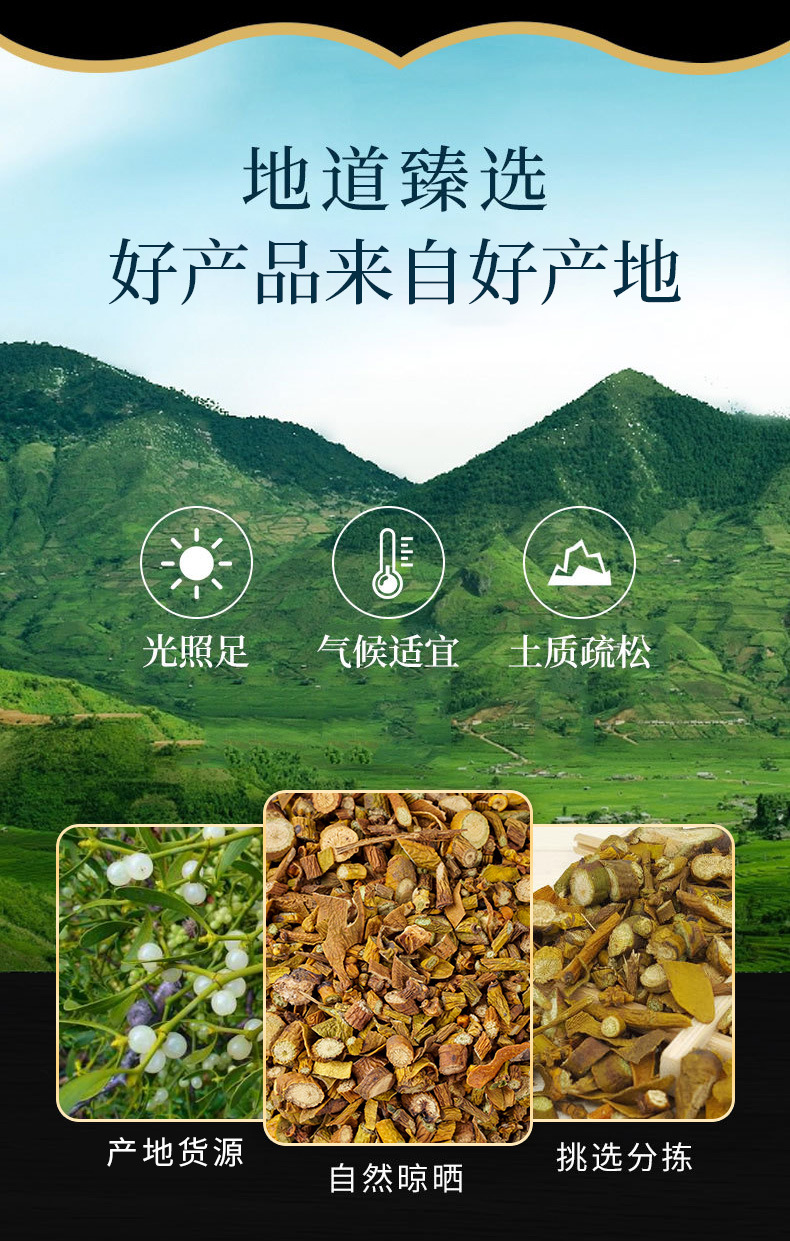 Hu Ji Sheng (Viscum coloratum) — Dried Mistletoe Herb, Naturally Sun-Dried, 500g overview