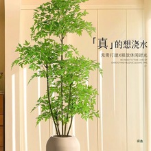 �Gֲ�������p�ݿ͏d�پGֲ�҃ȴ�����������bՇ��٘�