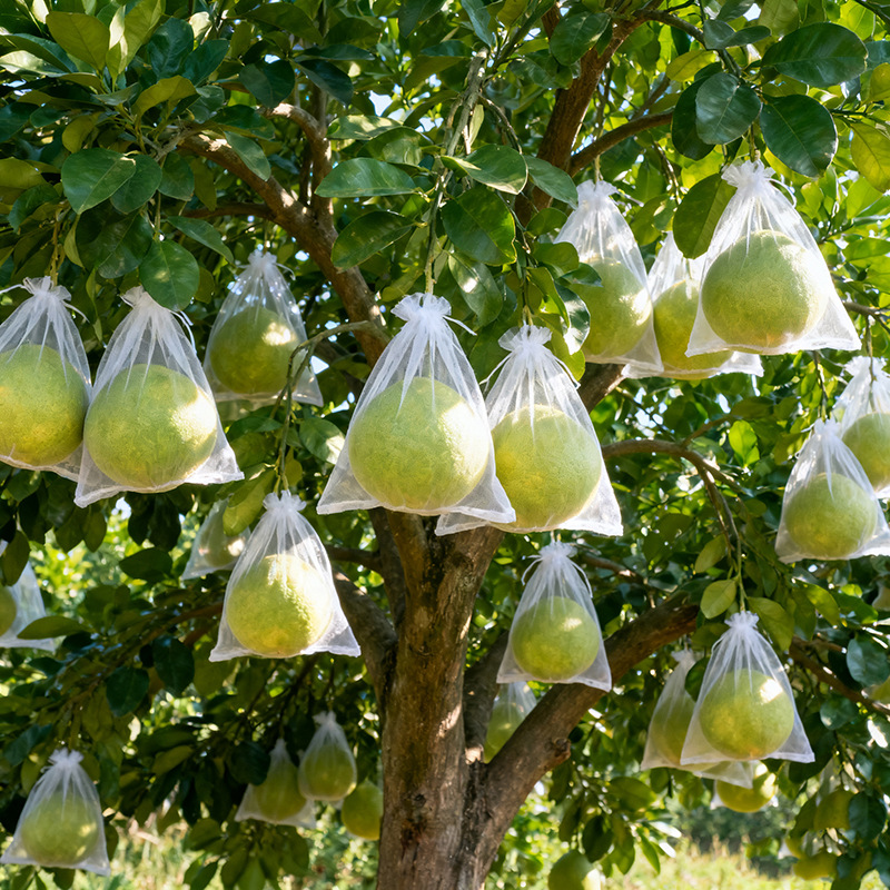 工厂现货批发素色水果套袋网纱袋透明欧根纱袋礼品袋