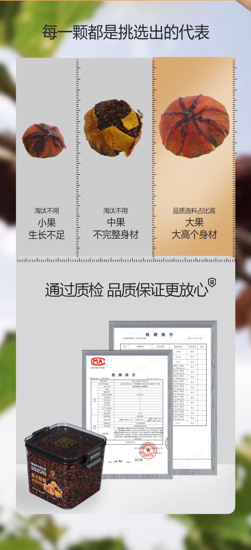 Kunlun Snow Chrysanthemum Bud Tea Dried Flower Buds for Daily Herbal Tea 135g in use
