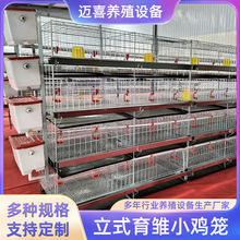 �B�u����ʽ���r�\�������u�\�Č����u�B�u�\�Bֳ�����û\�B�O��