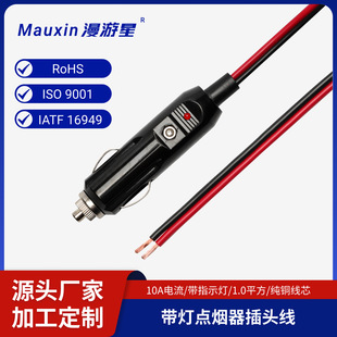 �S��ֱ����10A�͸ߜ�ѩ���^1.0ƽ��0.3��܇�d�c�������^